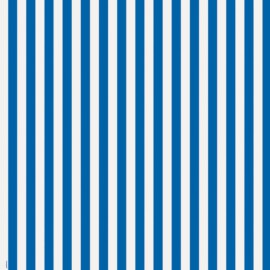 Cotton Fabric "Blue Stripes 5mm"