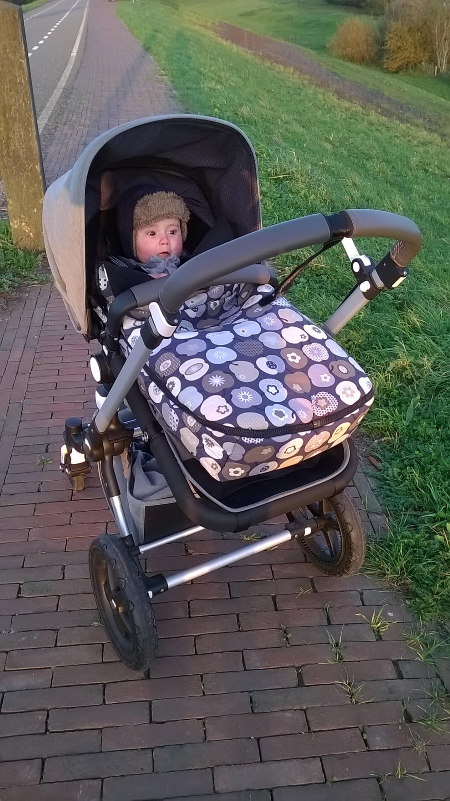 Bugaboo Cameleon 3